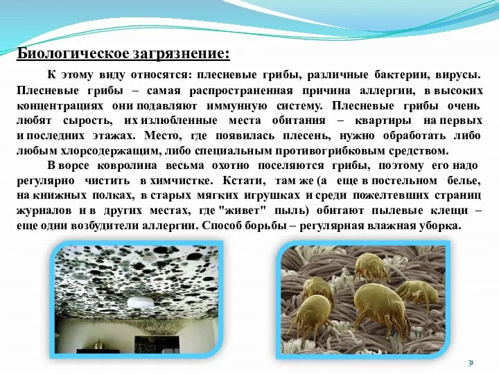 Биологическое загрязнение: К этому виду относятся: плесневые грибы, различные бактерии, вирусы. Плесневые