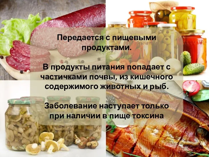 Передается с пищевыми продуктами. В продукты питания попадает с частичками почвы, из