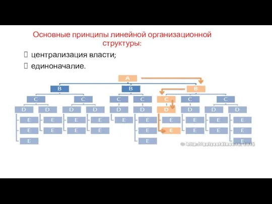 Основные принципы линейной организационной структуры: централизация власти; единоначалие.