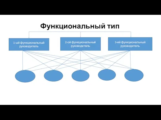 Функциональный тип 1-ый функциональный руководитель 2-ой функциональный руководитель 3-ий функциональный руководитель