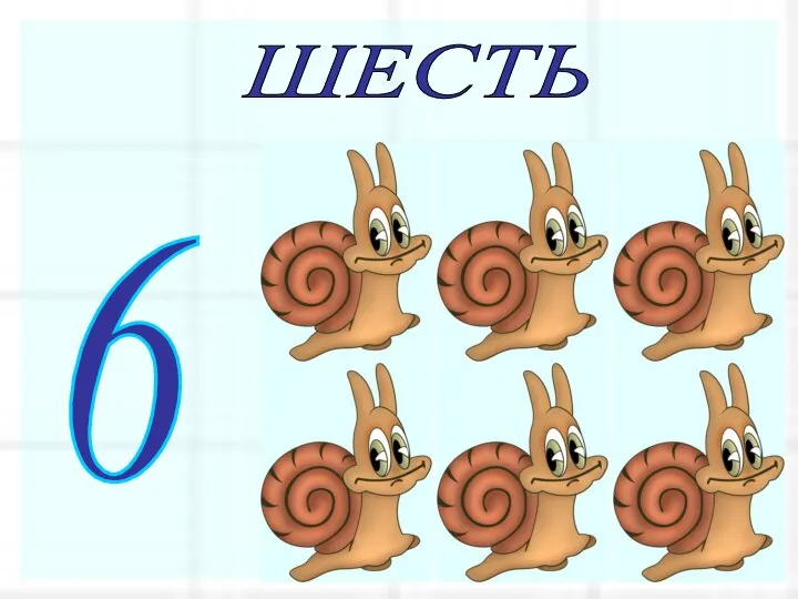 ШЕСТЬ 6