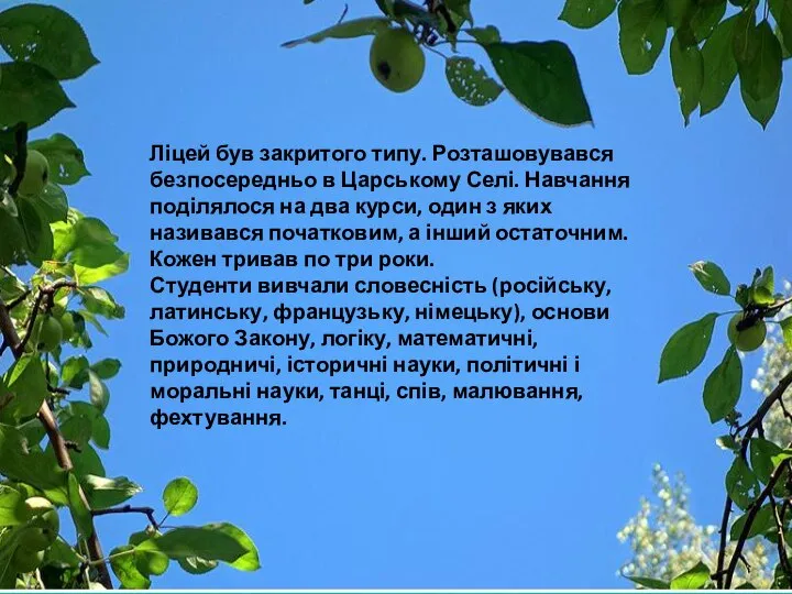 Ліцей був закритого типу. Розташовувався безпосередньо в Царському Селі. Навчання поділялося на