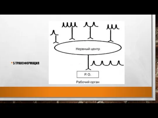 5 ТРАНСФОРМАЦИЯ