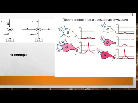 8. СУММАЦИЯ