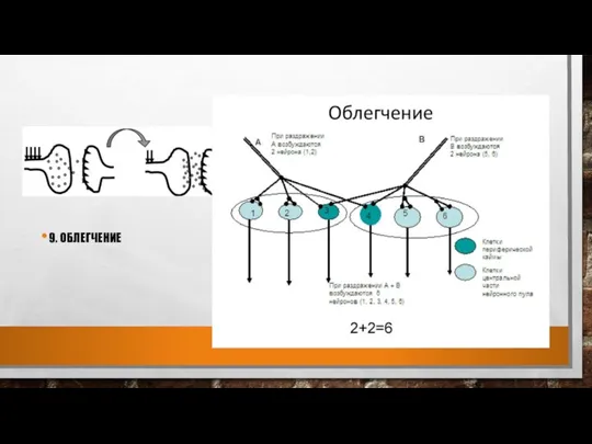 9. ОБЛЕГЧЕНИЕ