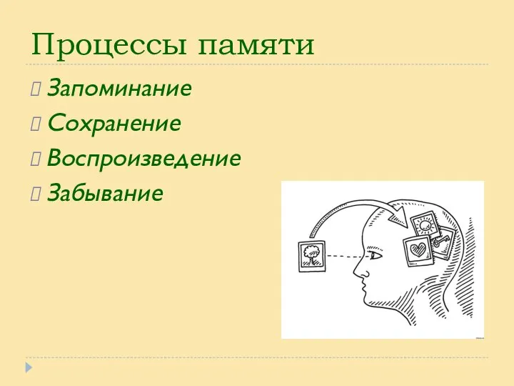 Процессы памяти Запоминание Сохранение Воспроизведение Забывание