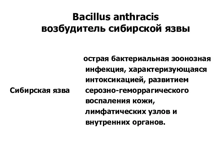 Bacillus anthracis возбудитель сибирской язвы
