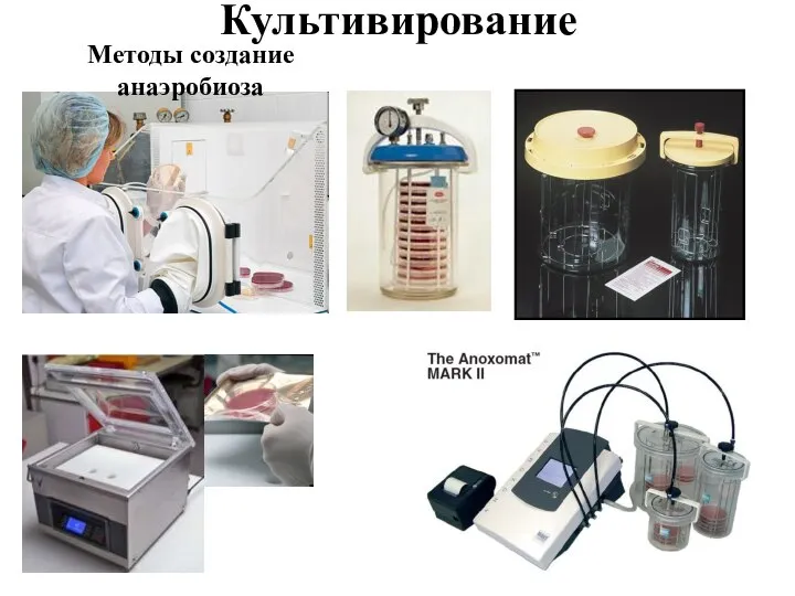 Культивирование Методы создание анаэробиоза