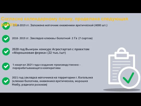 2018-2019 гг. Заложена маточник княженики арктической (4000 шт.) 2020 год Выигран конкурс