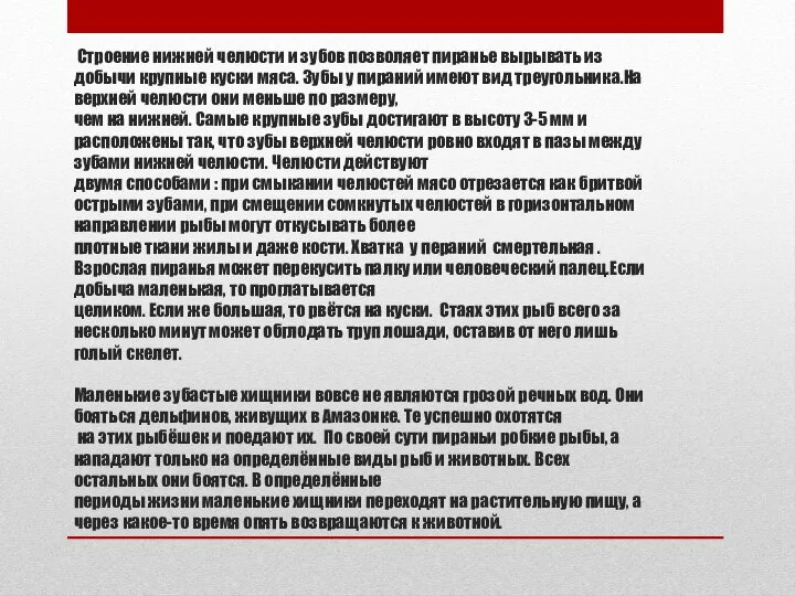 Строение нижней челюсти и зубов позволяет пиранье вырывать из добычи крупные куски