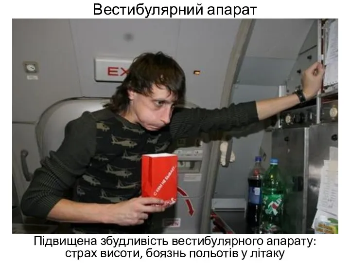 Вестибулярний апарат Підвищена збудливість вестибулярного апарату: страх висоти, боязнь польотів у літаку