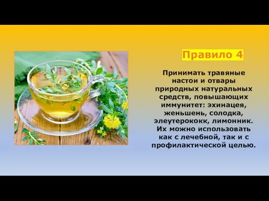 Правило 4 Принимать травяные настои и отвары природных натуральных средств, повышающих иммунитет: