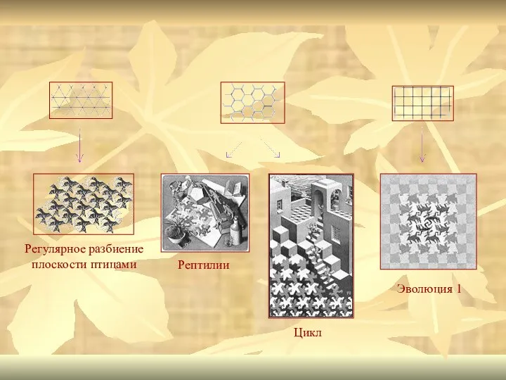 Регулярное разбиение плоскости птицами Рептилии Цикл Эволюция 1
