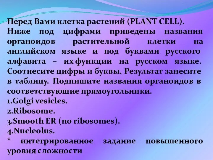 Перед Вами клетка растений (PLANT CELL). Ниже под цифрами приведены названия органоидов