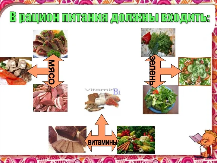 В рацион питания должны входить: мясо зелень витамины