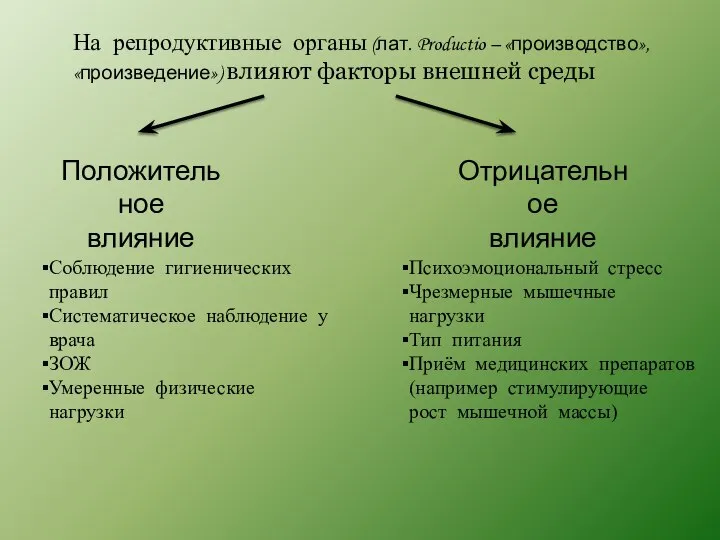 На репродуктивные органы (лат. Productio – «производство», «произведение») влияют факторы внешней среды