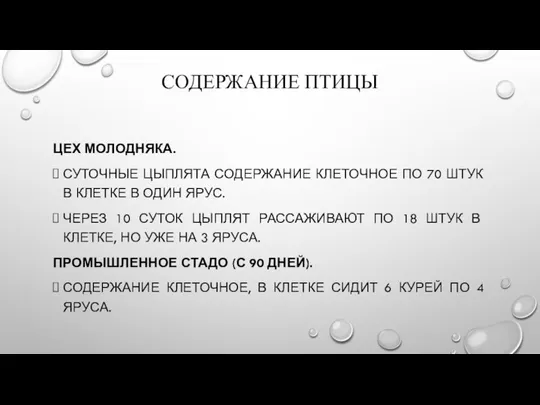 СОДЕРЖАНИЕ ПТИЦЫ ЦЕХ МОЛОДНЯКА. СУТОЧНЫЕ ЦЫПЛЯТА СОДЕРЖАНИЕ КЛЕТОЧНОЕ ПО 70 ШТУК В