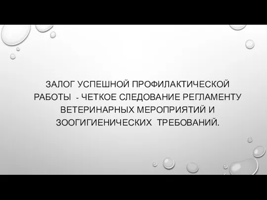 ЗАЛОГ УСПЕШНОЙ ПРОФИЛАКТИЧЕСКОЙ РАБОТЫ - ЧЕТКОЕ СЛЕДОВАНИЕ РЕГЛАМЕНТУ ВЕТЕРИНАРНЫХ МЕРОПРИЯТИЙ И ЗООГИГИЕНИЧЕСКИХ ТРЕБОВАНИЙ.