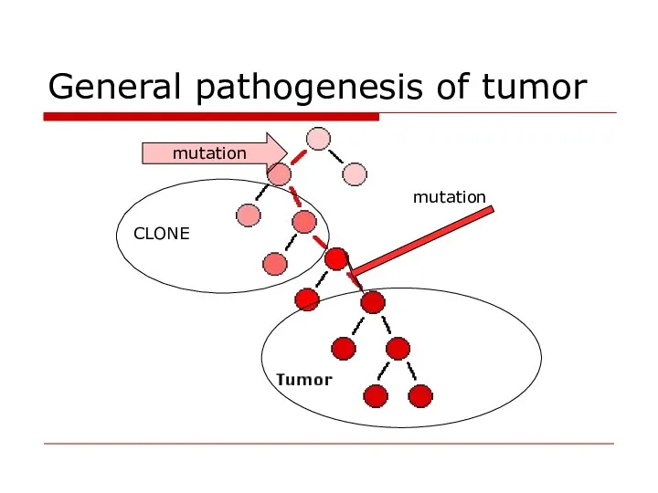 General pathogenesis of tumor mutation CLONE mutation