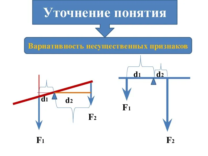 Уточнение понятия Вариативность несущественных признаков F1 F2 d2 d1 F1 F2 d1 d2