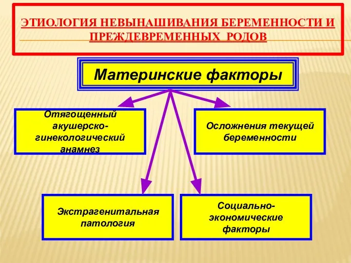 Материнские факторы Осложнения текущей беременности Социально-экономические факторы Экстрагенитальная патология Отягощенный акушерско-гинекологический анамнез