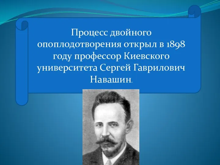 Процесс двойного опоплодотворения открыл в 1898 году профессор Киевского университета Сергей Гаврилович Навашин.