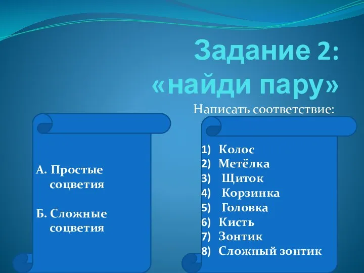 Задание 2: «найди пару» Написать соответствие: А. Простые соцветия Б. Сложные соцветия