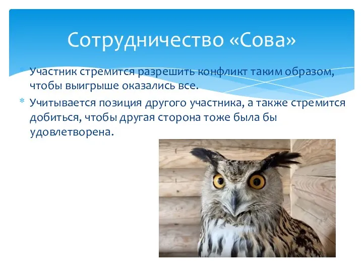 Участник стремится разрешить конфликт таким образом, чтобы выигрыше оказались все. Учитывается позиция