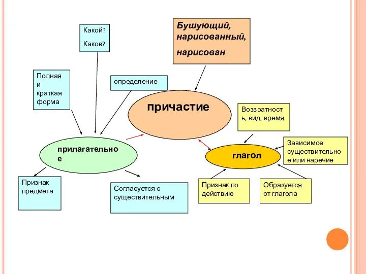 Какой? Каков? Полная и краткая форма прилагательное Признак предмета Бушующий, нарисованный, нарисован