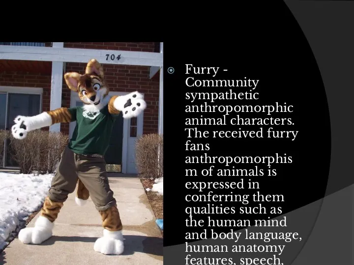 Furry - Community sympathetic anthropomorphic animal characters. The received furry fans anthropomorphism