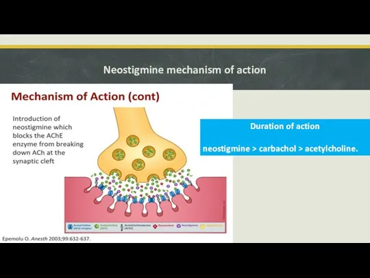 Neostigmine mechanism of action Duration of action neostigmine > carbachol > acetylcholine.