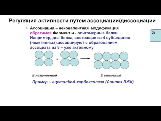 Регуляция активности путем ассоциации/диссоциации Ассоциация – нековалентная модификация обратимая Ферменты - олигомерные