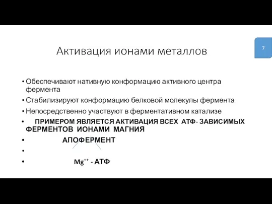 Обеспечивают нативную конформацию активного центра фермента Стабилизируют конформацию белковой молекулы фермента Непосредственно