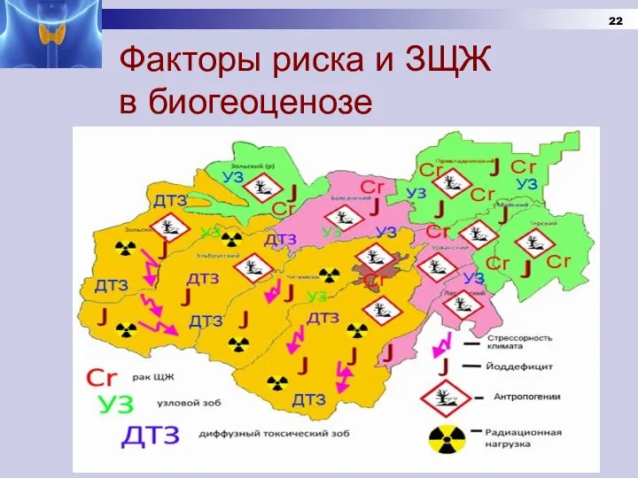 Факторы риска и ЗЩЖ в биогеоценозе