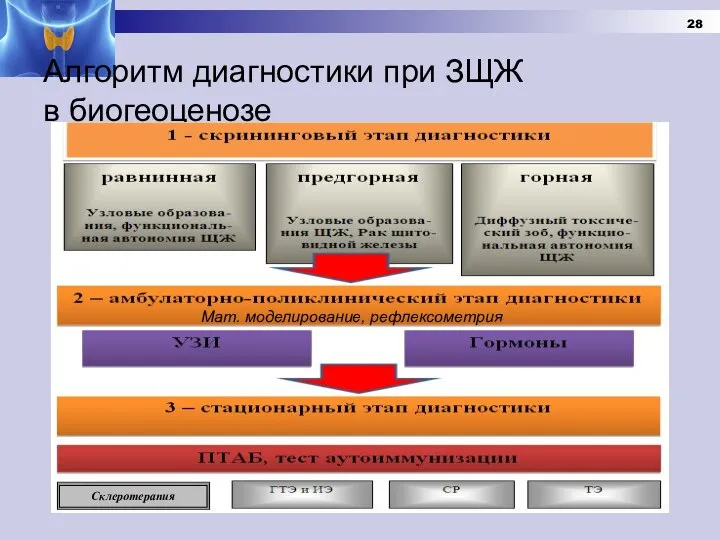 Алгоритм диагностики при ЗЩЖ в биогеоценозе Мат. моделирование, рефлексометрия Склеротерапия