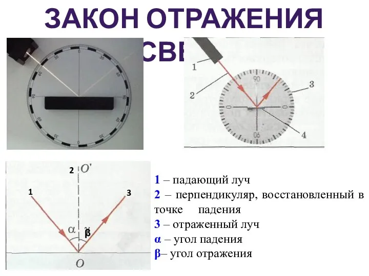 ЗАКОН ОТРАЖЕНИЯ СВЕТА 1 2 3 1 – падающий луч 2 –