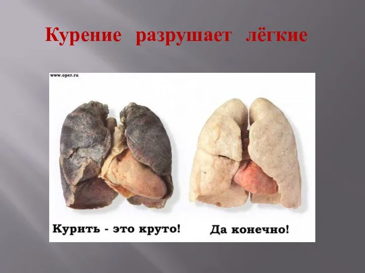 Курение разрушает лёгкие