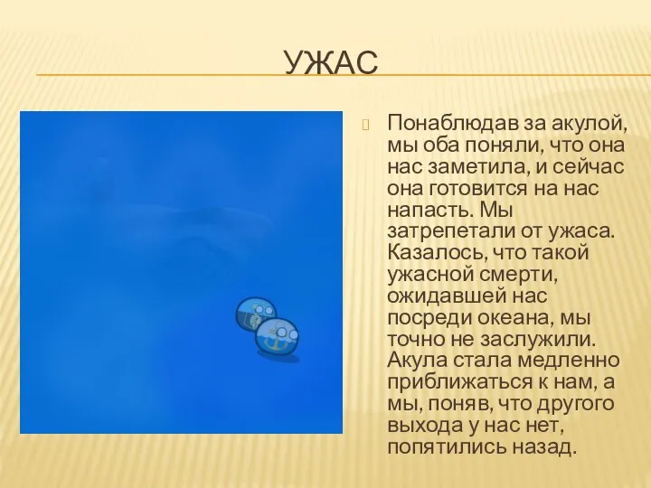 УЖАС Понаблюдав за акулой, мы оба поняли, что она нас заметила, и