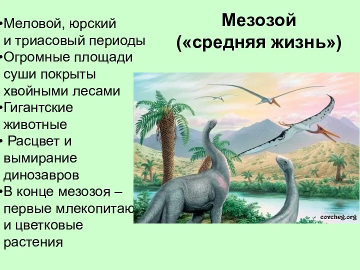 Мезозой («средняя жизнь») Меловой, юрский и триасовый периоды Огромные площади суши покрыты