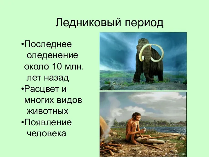 Ледниковый период Последнее оледенение около 10 млн. лет назад Расцвет и многих видов животных Появление человека