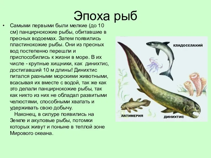 Эпоха рыб Самыми первыми были мелкие (до 10 см) панцирнокожие рыбы, обитавшие