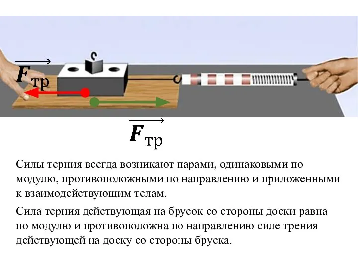 Силы терния всегда возникают парами, одинаковыми по модулю, противоположными по направлению и