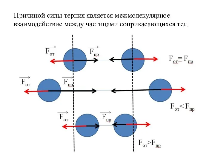 Причиной силы терния является межмолекулярное взаимодействие между частицами соприкасающихся тел.