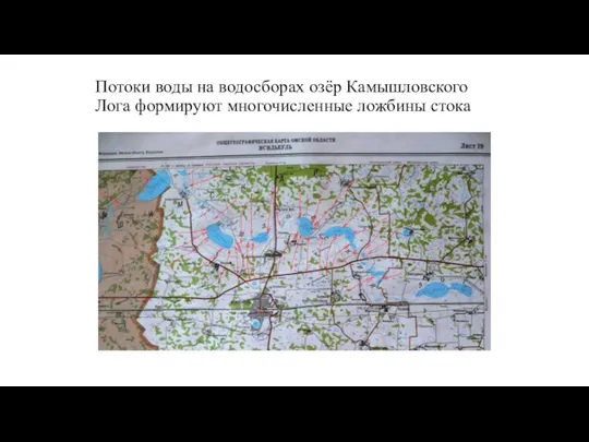 Потоки воды на водосборах озёр Камышловского Лога формируют многочисленные ложбины стока