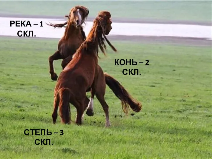 СТЕПЬ – 3 СКЛ. РЕКА – 1 СКЛ. КОНЬ – 2 СКЛ.