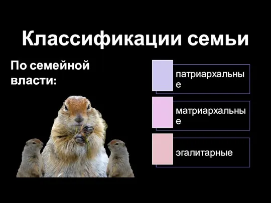 Классификации семьи По семейной власти: