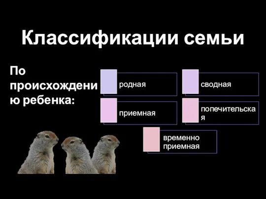 Классификации семьи По происхождению ребенка: