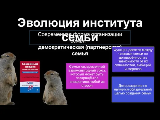 Эволюция института семьи Современная форма организации семьи – демократическая (партнерская) семья