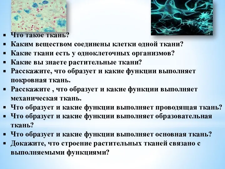 Что такое ткань? Каким веществом соединены клетки одной ткани? Какие ткани есть