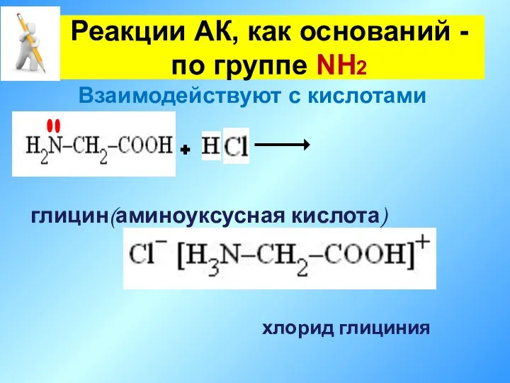 глицин(аминоуксусная кислота) хлорид глициния Реакции АК, как оснований - по группе NH2 Взаимодействуют с кислотами